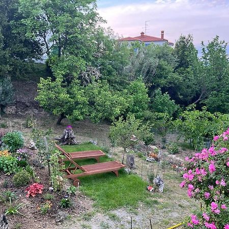 Studio Olea Копер Экстерьер фото